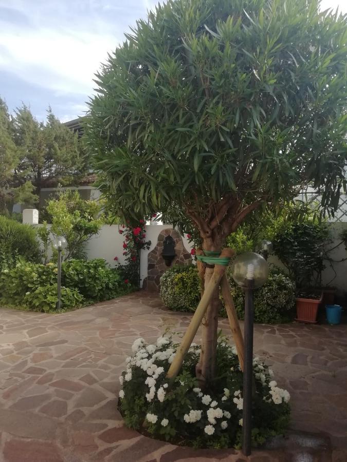 Casa Vacanze Villa Rosa Кала Гононе Екстериор снимка