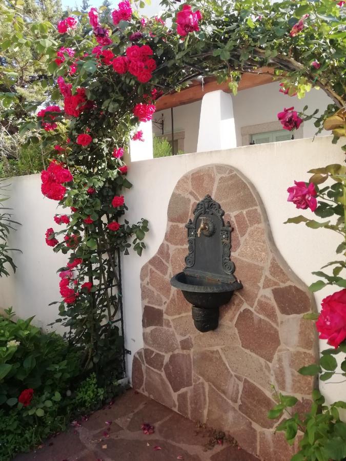Casa Vacanze Villa Rosa Кала Гононе Екстериор снимка