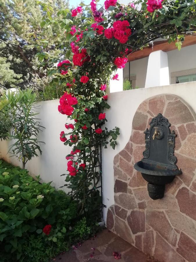Casa Vacanze Villa Rosa Кала Гононе Екстериор снимка