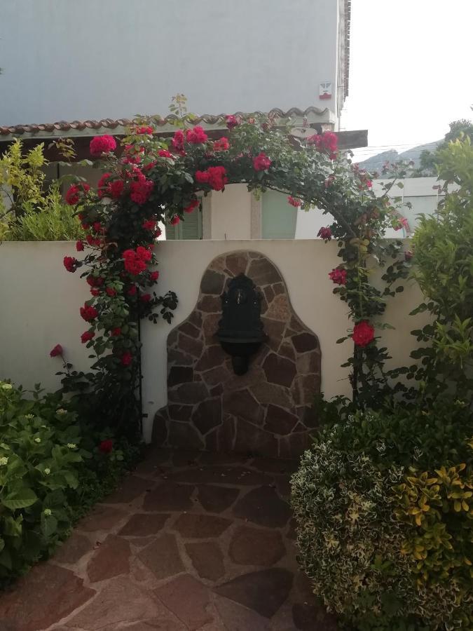 Casa Vacanze Villa Rosa Кала Гононе Екстериор снимка