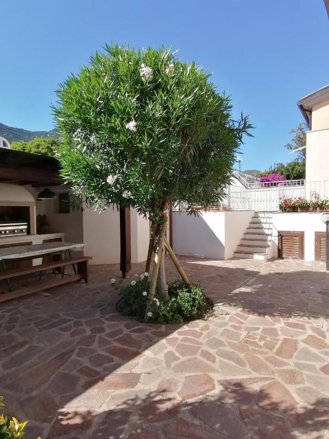 Casa Vacanze Villa Rosa Кала Гононе Екстериор снимка
